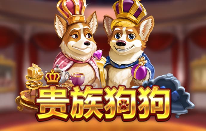 云开全站app网页版